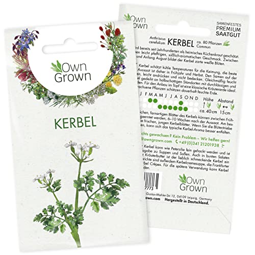Kerbel Samen: Kerbel Saatgut zur Anzucht von 80 Kräuter Pflanzen – Wildkräuter Samen – Würzige Kräuter Garten Pflanze – Kräuter Saatgut von OwnGrown